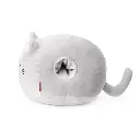 SUS0004_2.webp