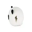 SUS0006_2.webp