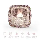 BillyClockRainbowleopard2_1100x.webp