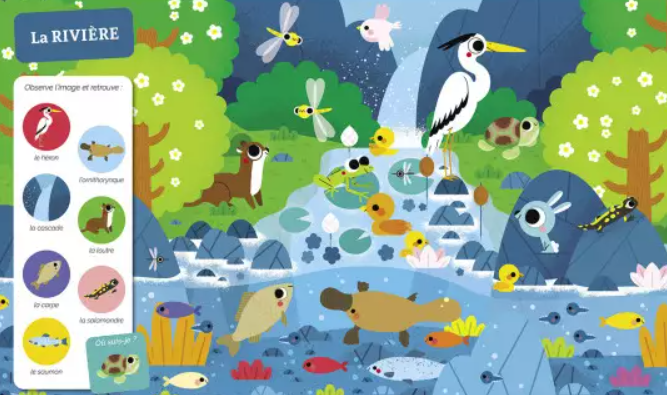Auzou - Cherche et trouve des tout-petits - Tous à l'eau !