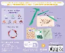 9791039577946_99.webp