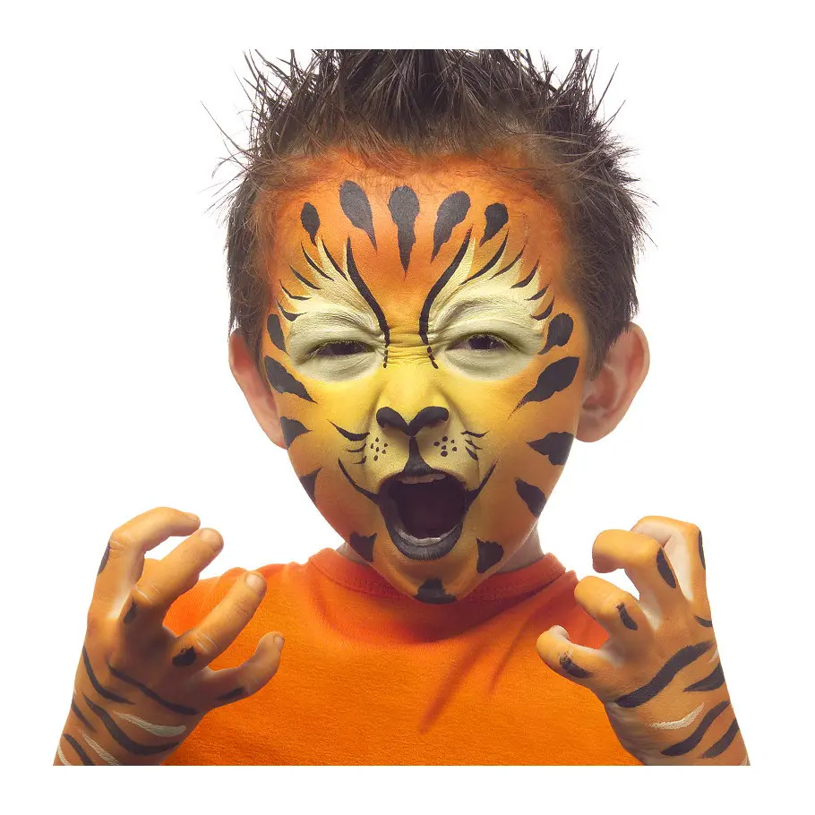 palette-de-maquillage-tigre (2).webp