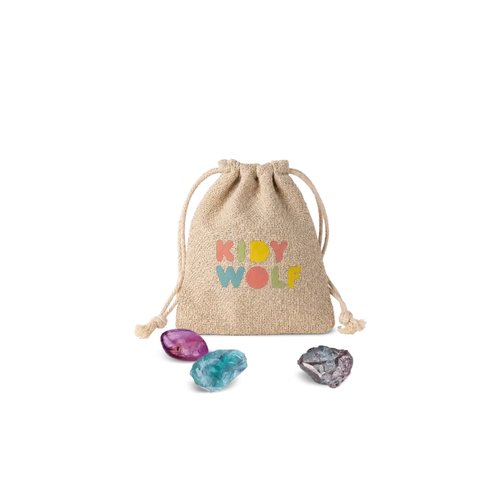 KIDYPLANETBAG01.webp