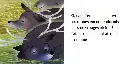 6b5e2ee5d83137323733363432353831323632353430.jpg.webp