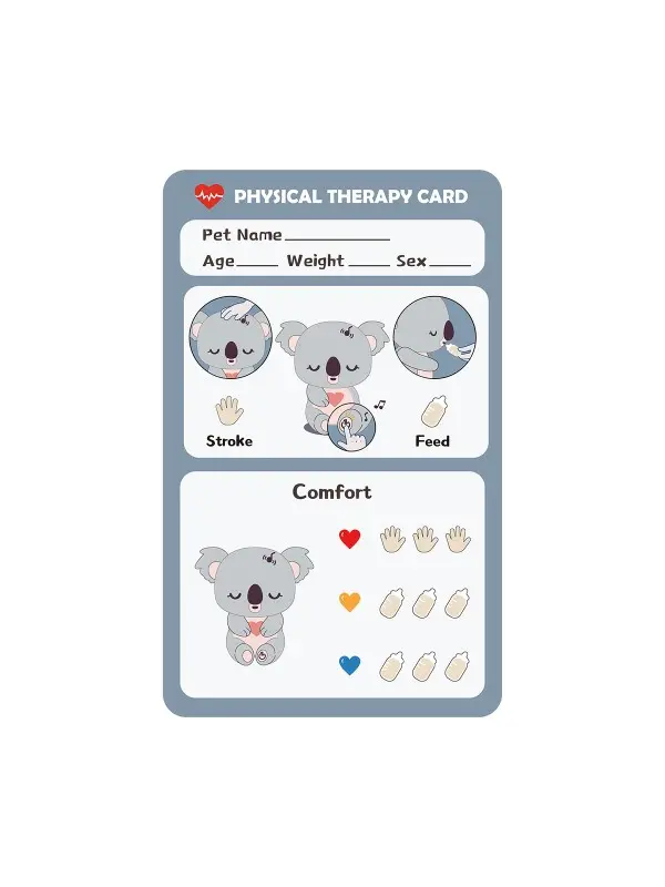 topbright-care-pets-baby-koala (5).webp