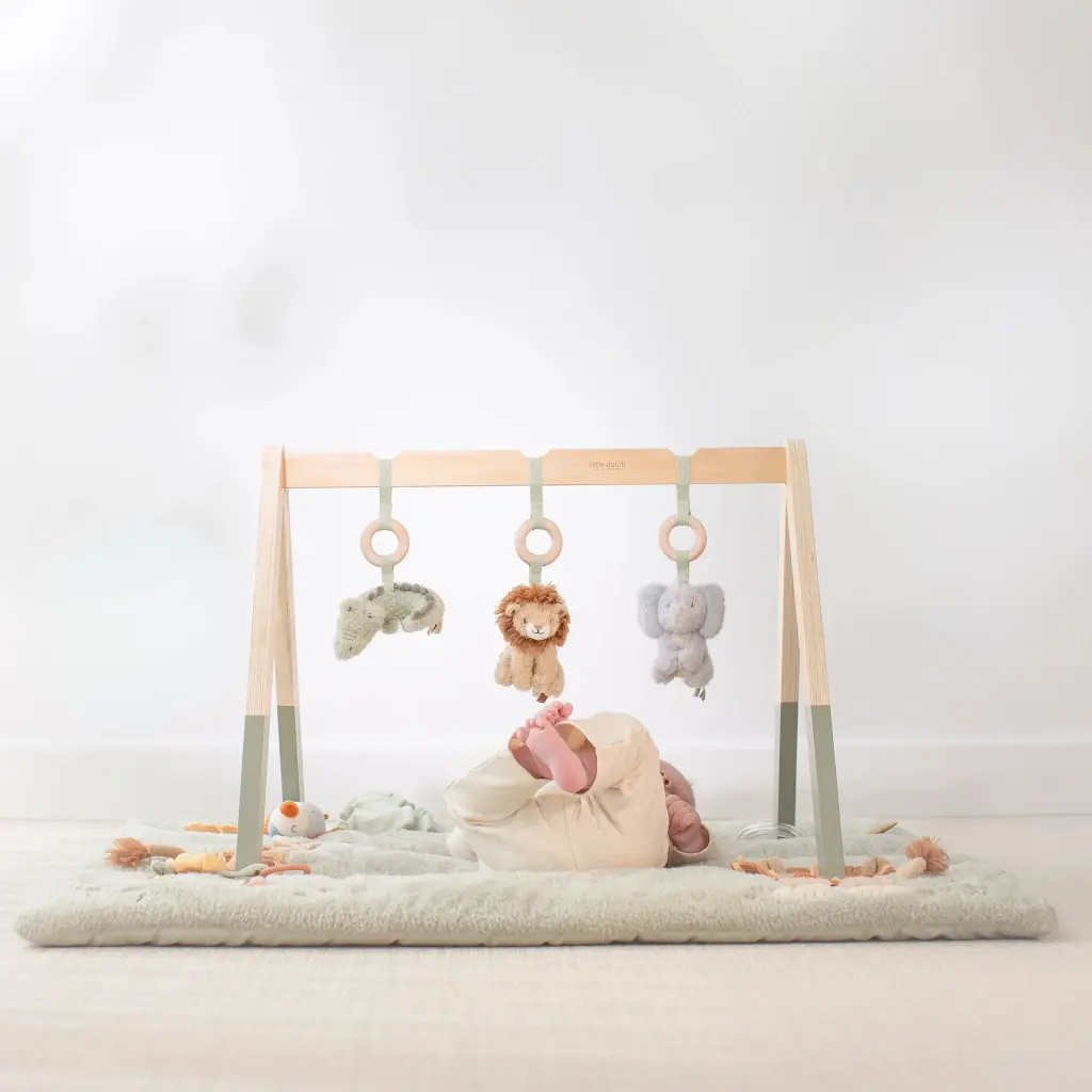 0036448_baby-gym-ld8310-2-shopify-square.webp