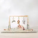 0036448_baby-gym-ld8310-2-shopify-square.webp