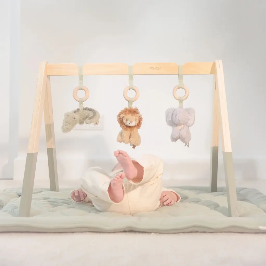 0036446_baby-gym-ld8310-3-shopify-square.webp