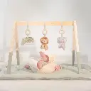 0036446_baby-gym-ld8310-3-shopify-square.webp