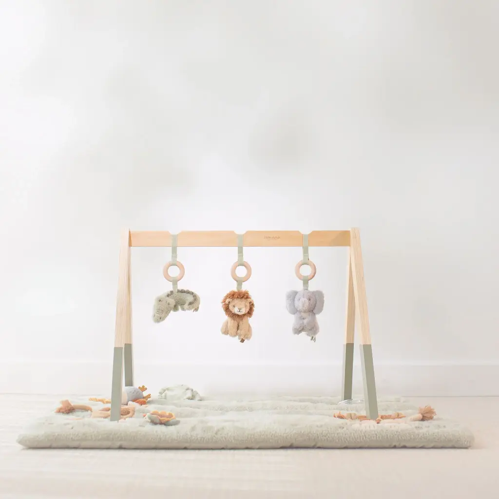 0036447_baby-gym-ld8310-1-shopify-square.webp