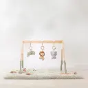 0036447_baby-gym-ld8310-1-shopify-square.webp