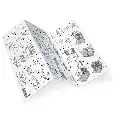 diorama-librairie (5).webp