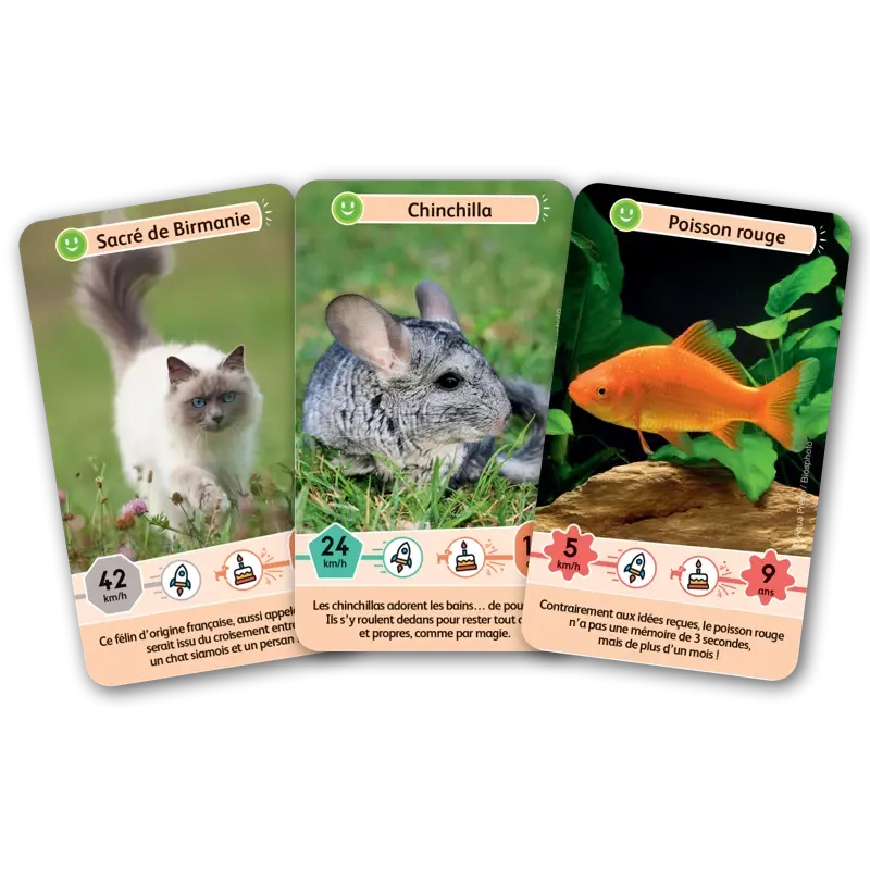 defis-nature-junior-fideles-compagnons (2).webp
