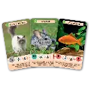 defis-nature-junior-fideles-compagnons (2).webp