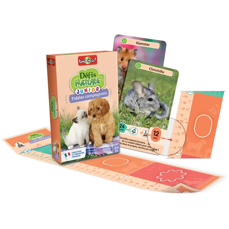 defis-nature-junior-fideles-compagnons (1).webp