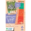 defis-nature-junior-fideles-compagnons (3).webp