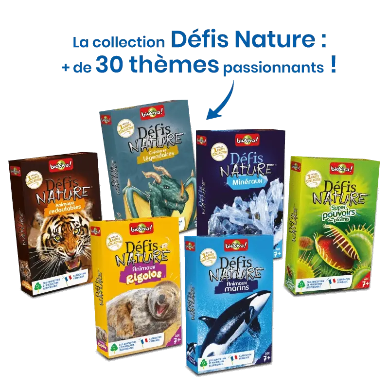 nouveau-defis-nature-dinosaures-2 (6).webp