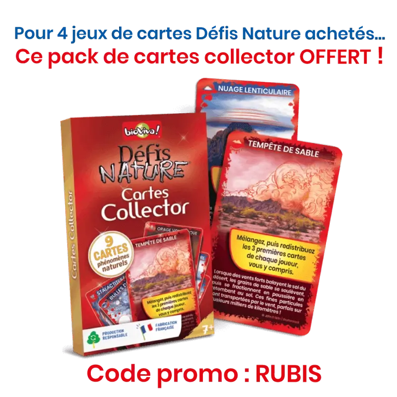 nouveau-defis-nature-dinosaures-2 (7).webp
