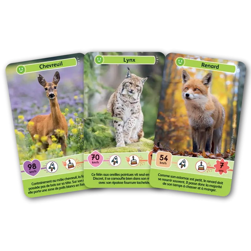 defis-nature-junior-animaux-de-la-foret (2).webp