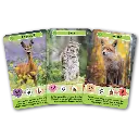 defis-nature-junior-animaux-de-la-foret (2).webp
