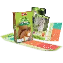 defis-nature-junior-animaux-de-la-foret (1).webp