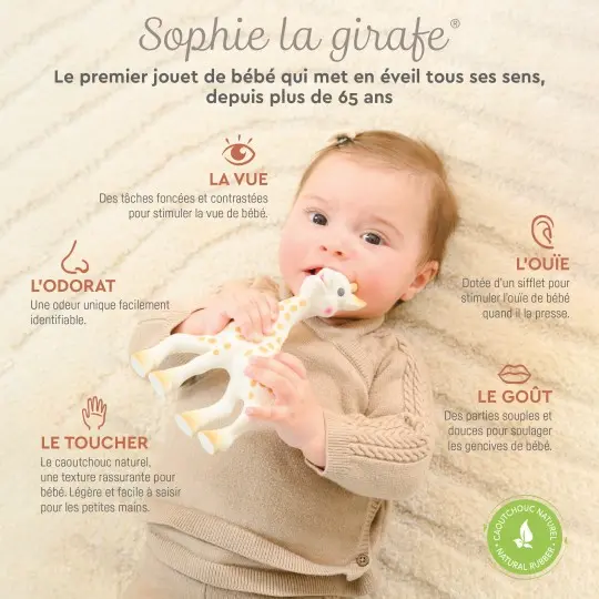 sophie-la-girafe (1).webp