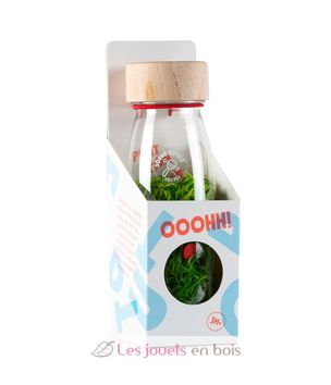 https://lacabanedeslutins.be/wp-content/uploads/2021/01/coccinelle-3.jpg