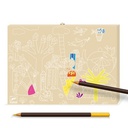 DJECO - Color Box - 5 ans +