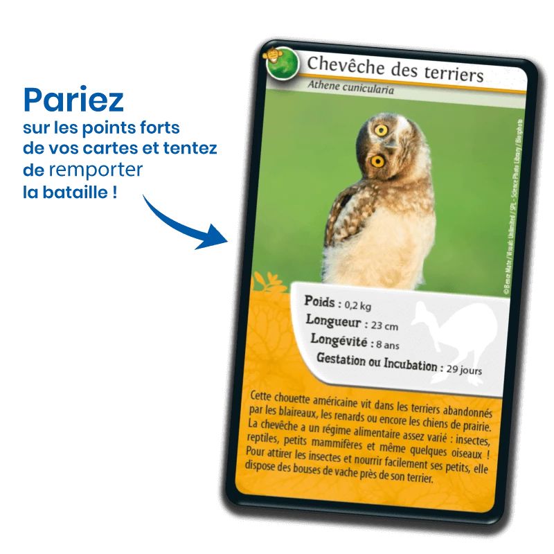 Bioviva! - Défis Nature - Animaux Rigolos