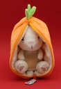 Buzzet - La carotte et le lapin