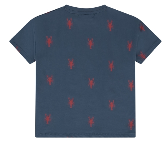 STAINS &amp; STORIES (BY BABYFACE) - T-shirt manches courtes garçon - Bleu