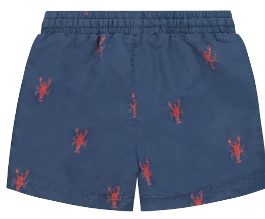 STAINS & STORIES (BY BABYFACE) - Short garçon - Bleu