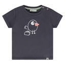BABYFACE - T-Shirt Manches Courtes Garçon - Dark Grey