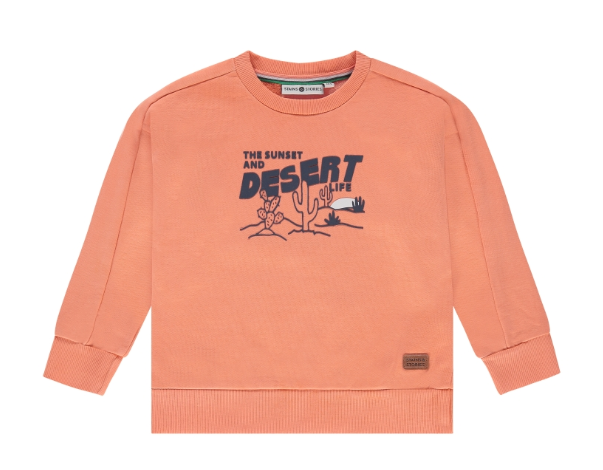 Stains & Stories - Sweatshirt garçon - Orange