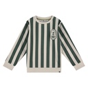 Stains & Stories - Pull rayé vert - garçon