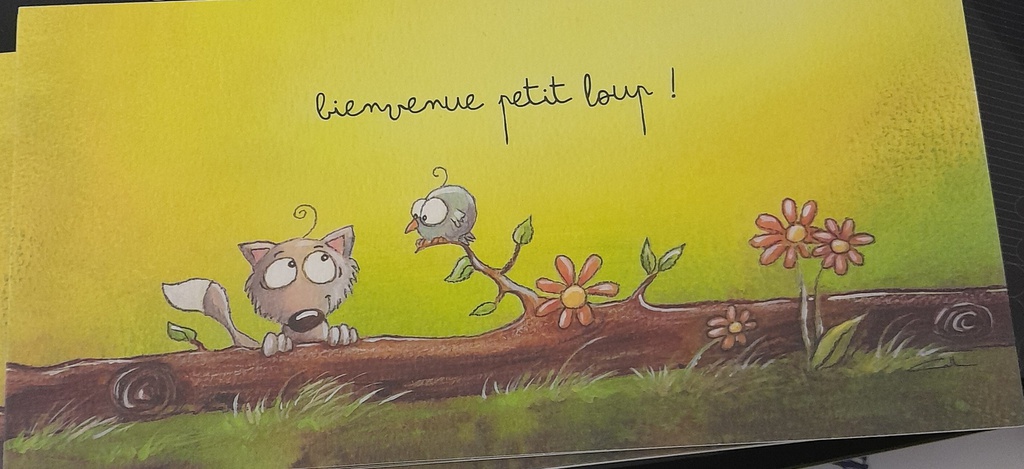 Catherine Maréchal - Carte anniversaire - bienvenue petit loup