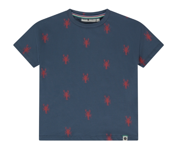 Stains &amp; Stories - T-shirt manches courtes garçon - Bleu