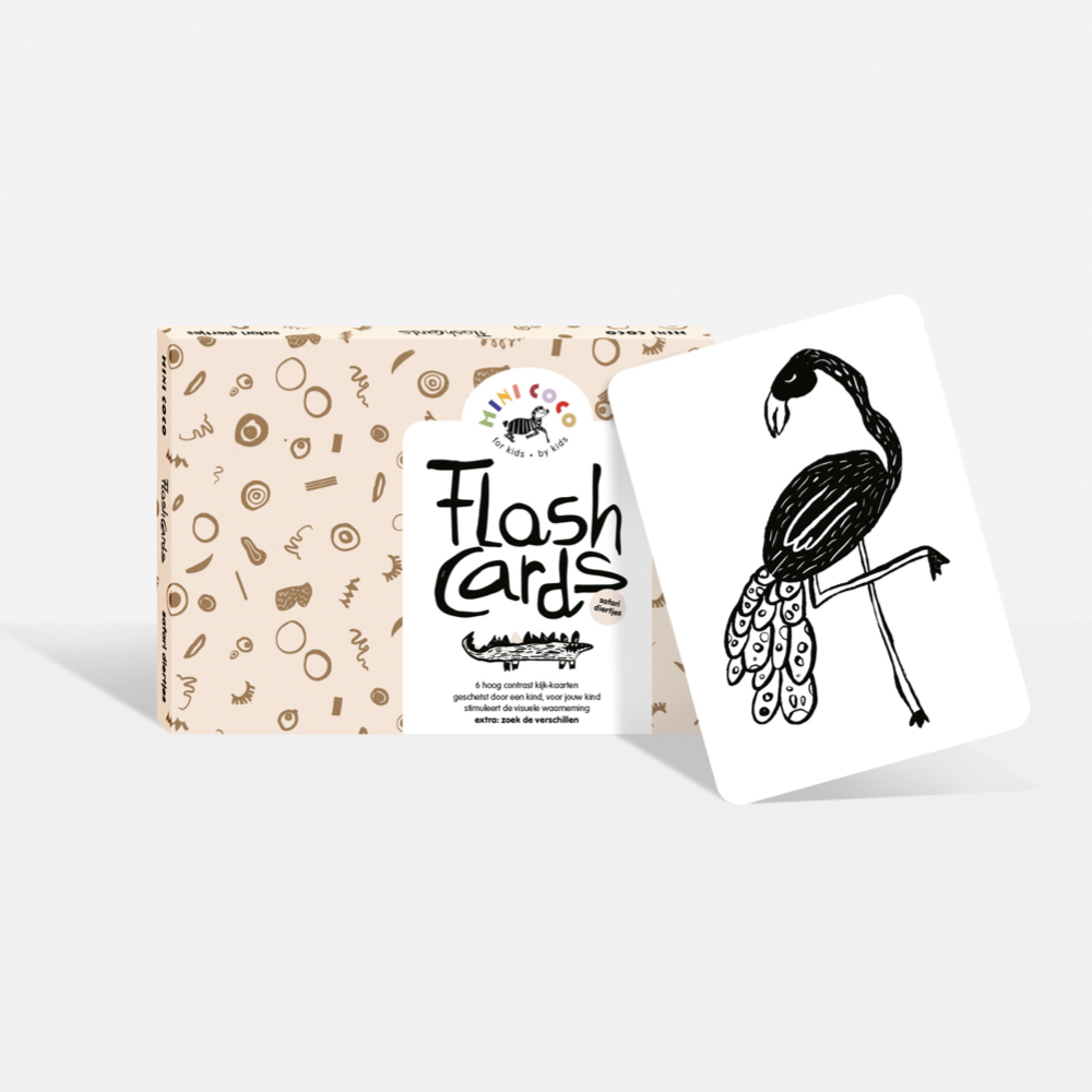Mini Coco - Flash Cards - Safari