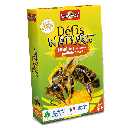 Bioviva! - Défis Nature - Abeilles et autres pollinisateurs - 7 ans et +