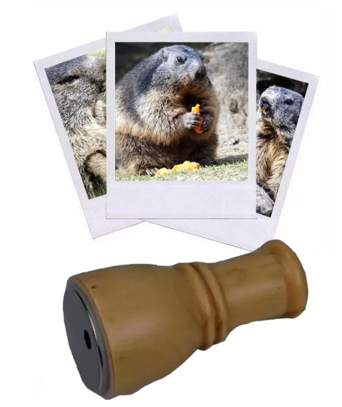 Les Zapos - Appeau Marmotte