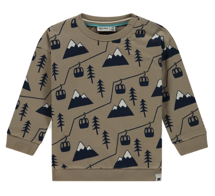 BABYFACE - Sweatshirt brun à imprimés montagnes - Garçon