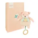 Doudou et Compagnie - Boite à musique bébé - Renard - 20 cm 
