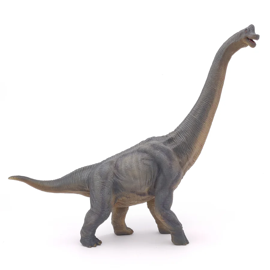 Papo - Figurine - Brachiosaure