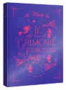 Hachette - Disney Princesses - Le Grimoire des Princesses - 10 histoires 