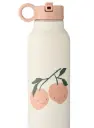 LIEWOOD- Gourde Falk 500 ml Pêche-coquillage