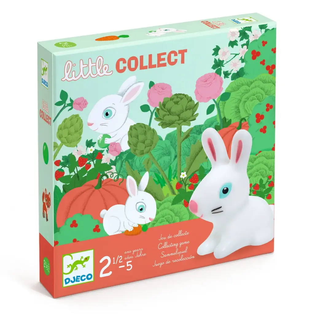 DJECO - Jeu Little Collect - 2 à 5 ans 