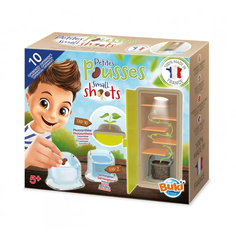 Buki - Petites pousses