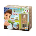 Buki - Petites pousses