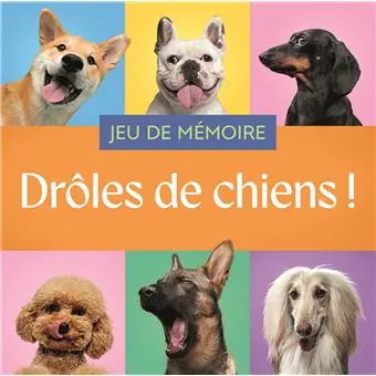 Chantecler -  Jeu de mémoire -  Drôle de chat !
