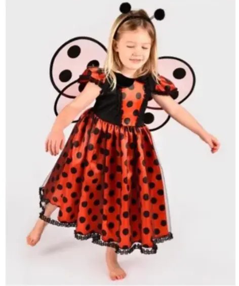 Den Goda Fen - Robe coccinelle avec accessoires (110-116)
